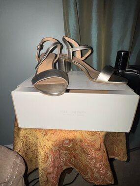 Naturalizer Metallic Champagne Open-Toe Ankle Strap Sandals
